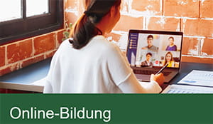 Infographik: Online-Bildung