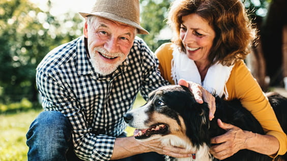 With grown-up children and higher disposable incomes, older people spend on average nearly 60%7 more on their pets than other age groups in the United States.