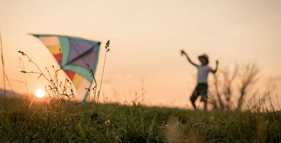 Little child flies a kite