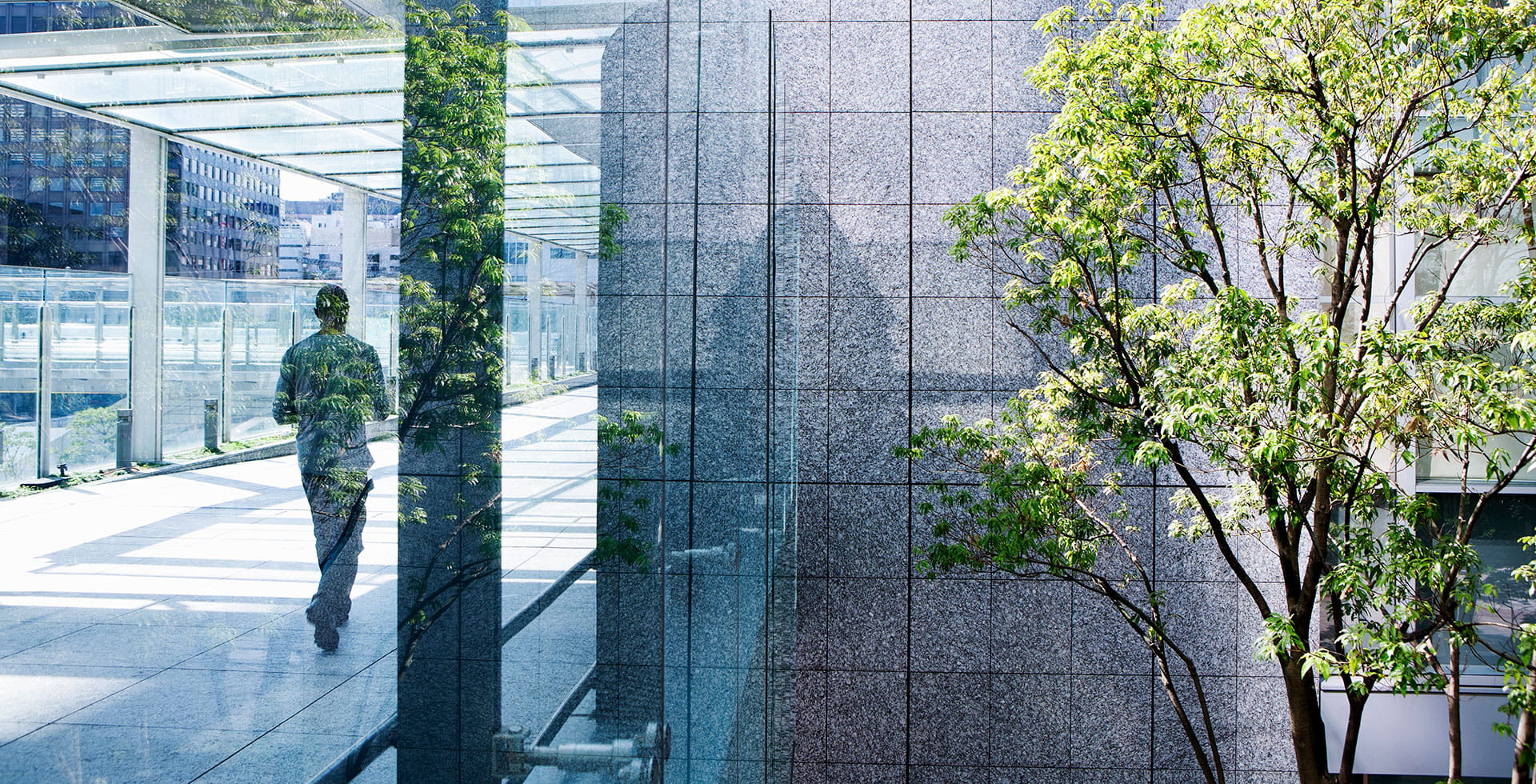 tree inside the building