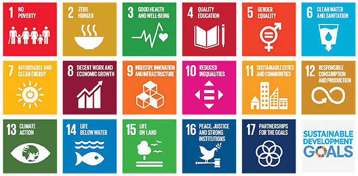 Sustainable Development Goals icons