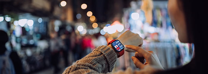 Allianz Renminbi Fixed Income strategy