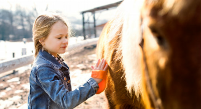 small girl is brushing a horse