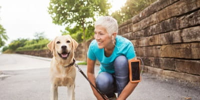 dog with runner